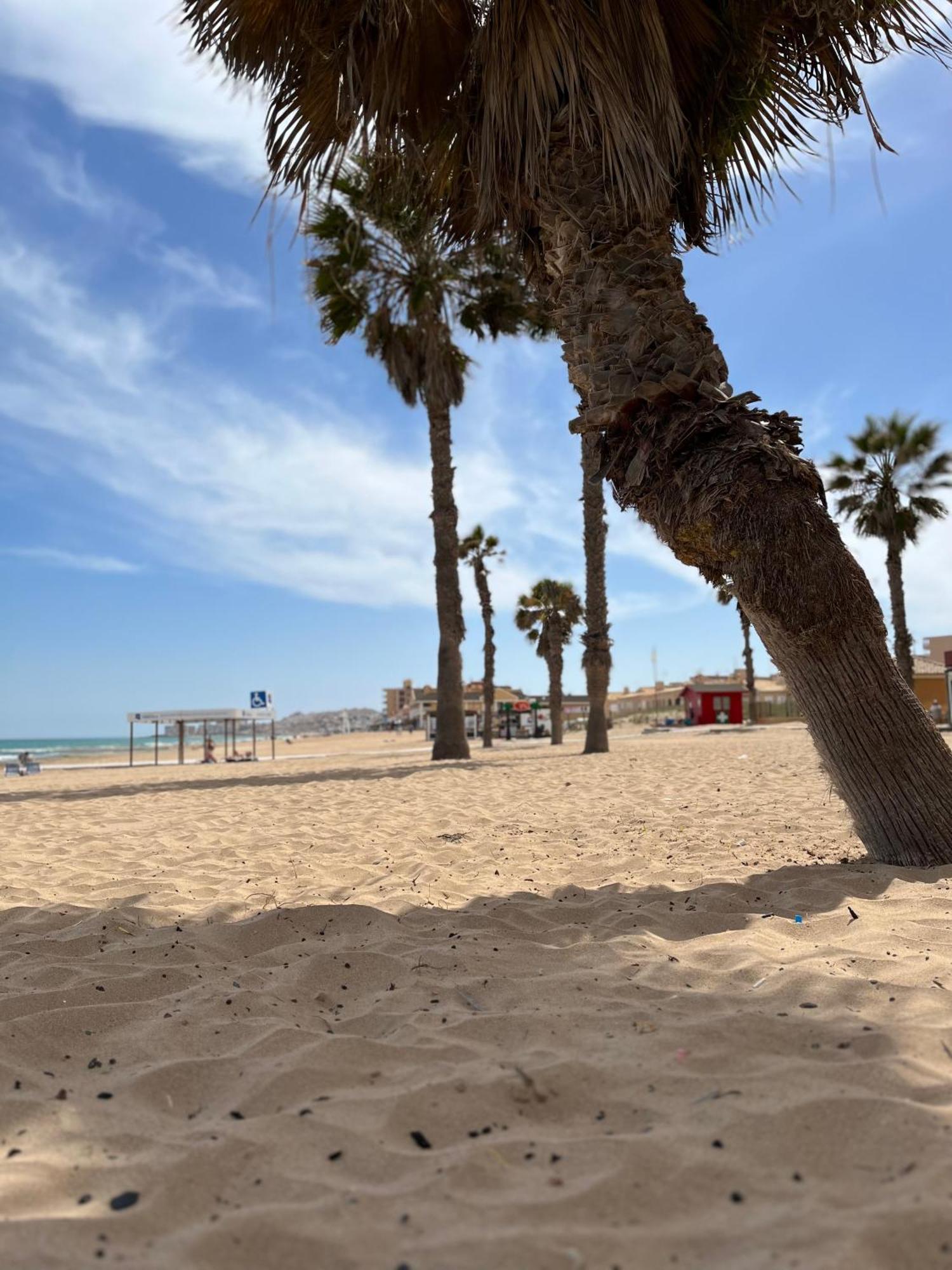Sol De Mar, La Mata Apartment Екстериор снимка