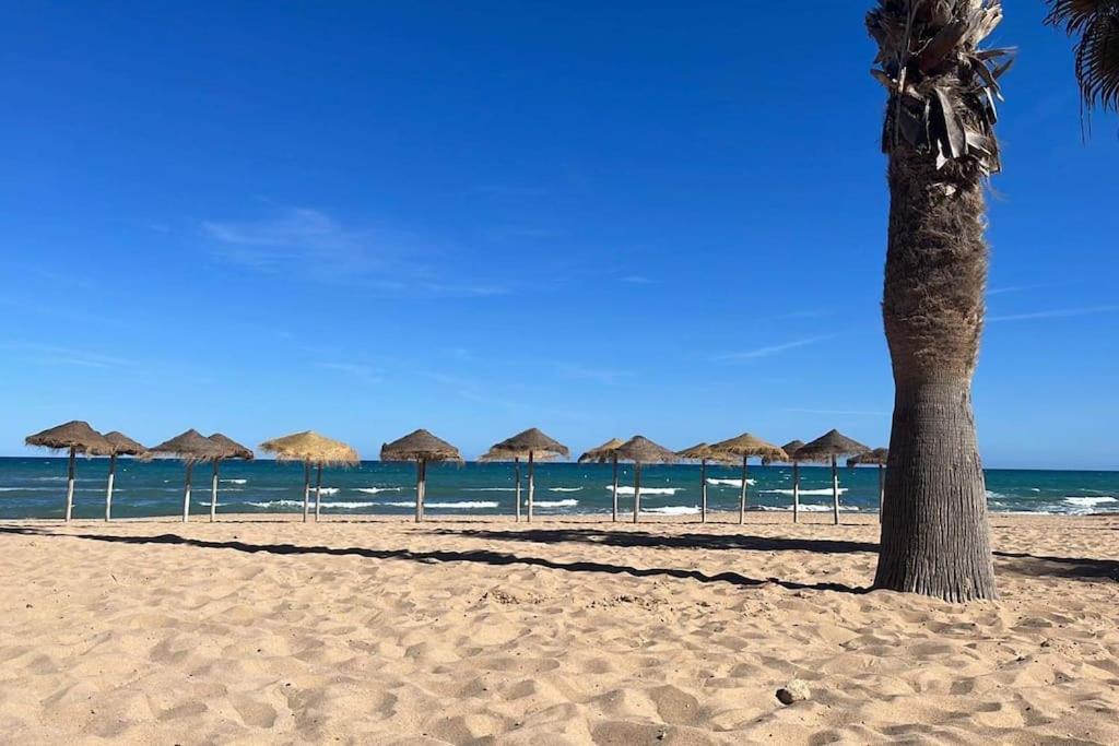 Sol De Mar, La Mata Apartment Ла Мата Екстериор снимка