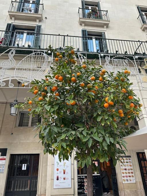 Sol De Mar, La Mata Apartment Ла Мата Екстериор снимка